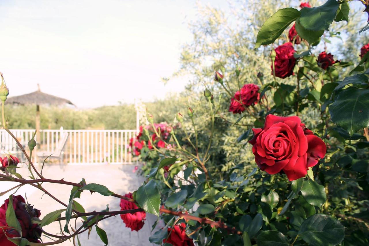 Casa De La Noria Holiday home *