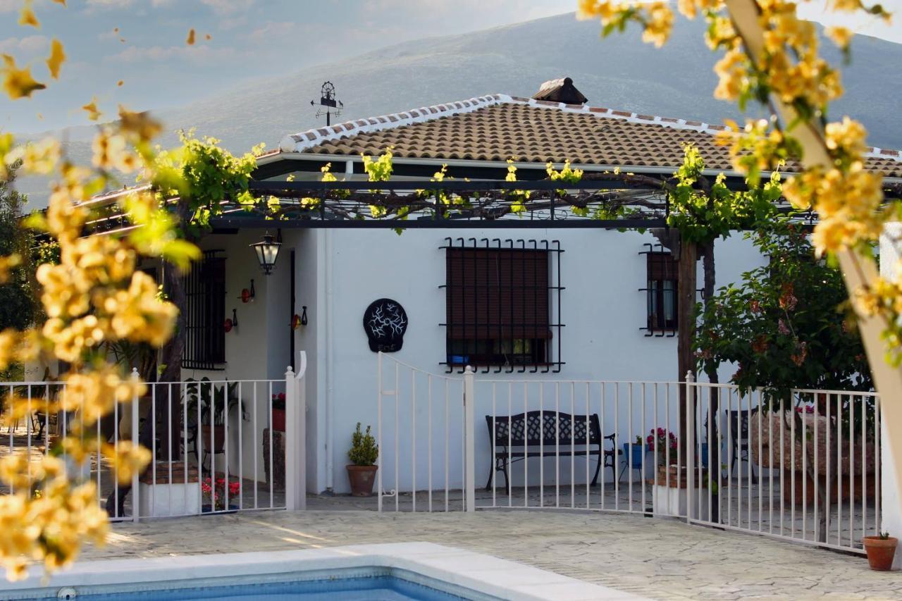 Holiday home Casa De La Noria *