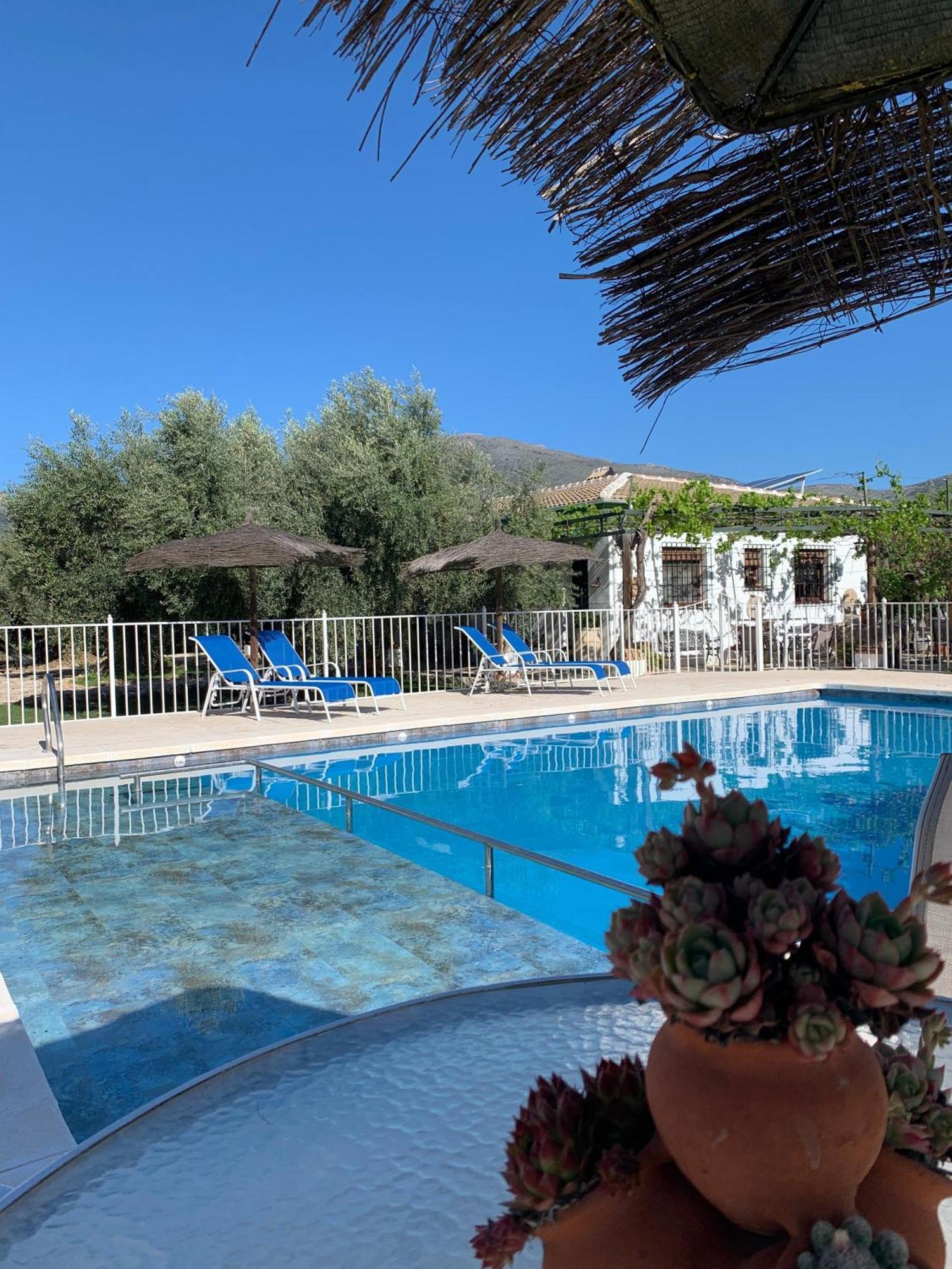 Casa De La Noria Holiday home *